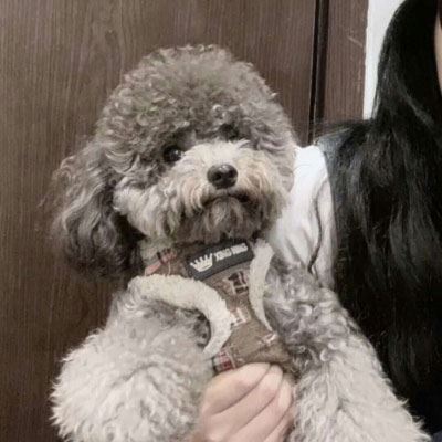 男朋友不是人系列动漫情头 男友不是人系列情侣头像动漫个性高清
