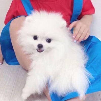 男朋友不是人系列动漫情头 男友不是人系列情侣头像动漫个性高清