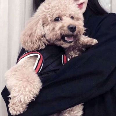男朋友不是人系列动漫情头 男友不是人系列情侣头像动漫个性高清