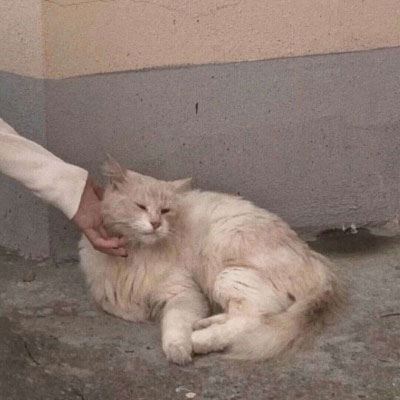 男朋友不是人系列动漫情头 男友不是人系列情侣头像动漫个性高清