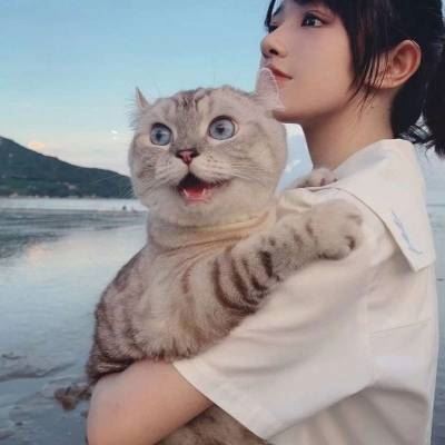 猫2个情侣头像一左一右高清 猫咪情侣头像一对两张 配对