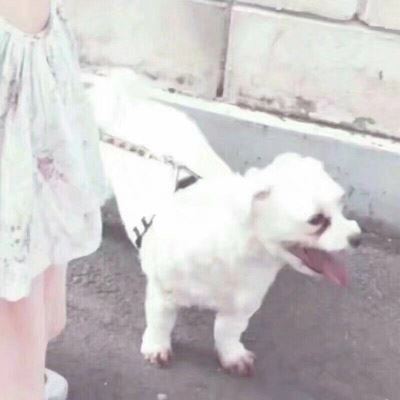 男朋友不是人系列情侣头像高清动漫 情头男朋友不是人系列