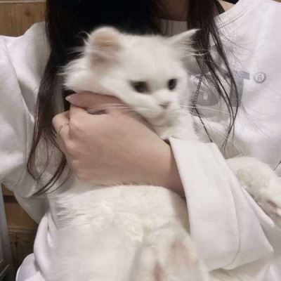 好看的真人女头像 高质网图女头