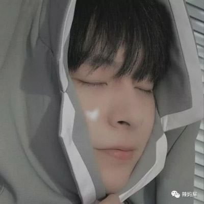情侣头像怀中猫一对 情头猫咪 情侣一人一张