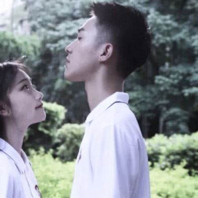 披头纱的情侣头像 