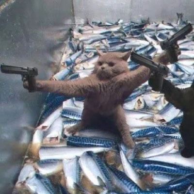 情侣头像卡通动物猫一左一右 个性猫咪情侣头像一对两张