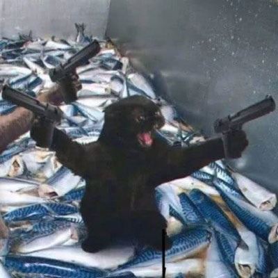 情侣头像卡通动物猫一左一右 个性猫咪情侣头像一对两张