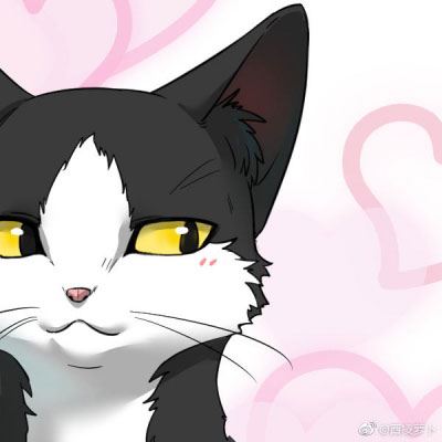 情侣头像卡通动物猫一左一右 个性猫咪情侣头像一对两张