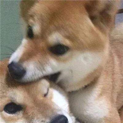 海边情侣头像一左一右 在海边的情侣头像一人一张