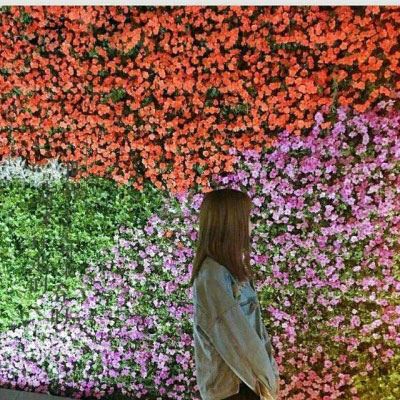 看起来毫无关系的情侣头像 情侣头像另一半不是人的