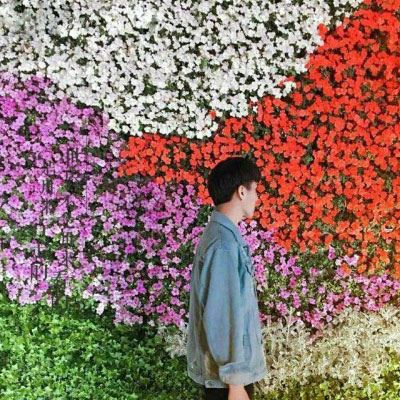 看起来毫无关系的情侣头像 情侣头像另一半不是人的