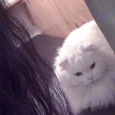 情侣头像小清新 个性 00后的情侣头像