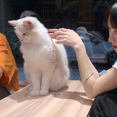 闺蜜头像闺蜜不是人系列真人 不像闺蜜头像的闺蜜头像