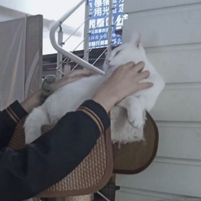 闺蜜头像闺蜜不是人系列真人 不像闺蜜头像的闺蜜头像