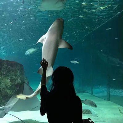 情侣头像幸福浪漫爱情 高清唯美情头