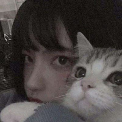 抱猫的美女头像 最新抱猫女头像