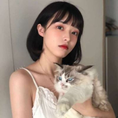 抱猫的美女头像 最新抱猫女头像