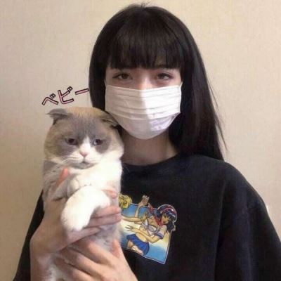 抱猫的美女头像 最新抱猫女头像