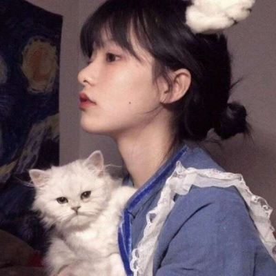 抱猫的美女头像 最新抱猫女头像