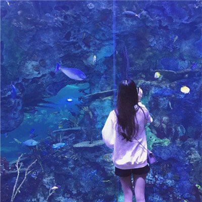 抖音好看情侣头像 抖音最近很火的情侣图 头像