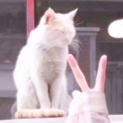 好看的情侣头像 让人认不出的情侣头像