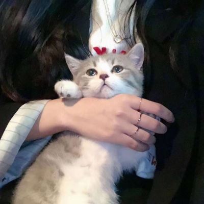 好看的微信女生头像图片 微信头像图片有哪些好看的图片女生