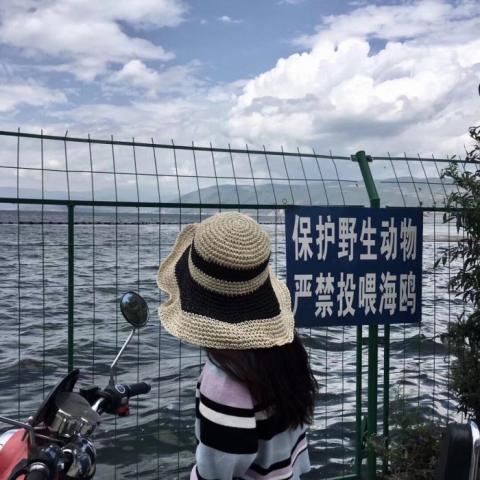 抱着的情头 情头一人抱一只宠物