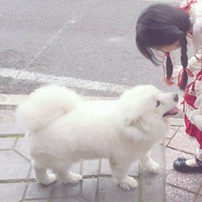 甜甜的情头 甜一点的情头