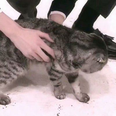 个性一点的情头一人一张 个性的情头一人一半