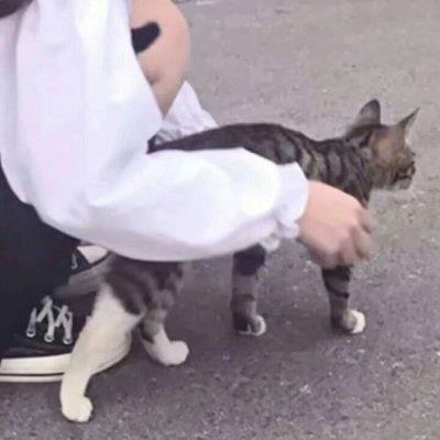 个性一点的情头一人一张 个性的情头一人一半