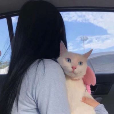 抱着猫的女生头像 个性 抱猫咪的个性女生头像