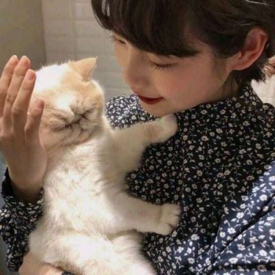 抱着猫的女生头像 个性 抱猫咪的个性女生头像