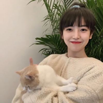 怀里有猫的女生头像不露脸 怀里有猫的女生头像动漫