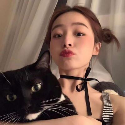 怀里有猫的女生头像不露脸 怀里有猫的女生头像动漫