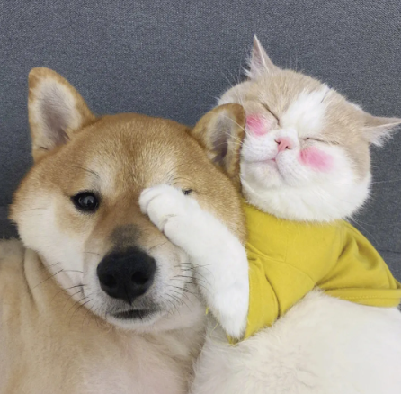 image.png
